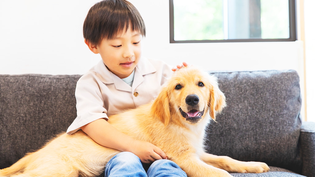 作業中は外出OK､ペットや小さいお子さまがいるご家庭でも対応できます